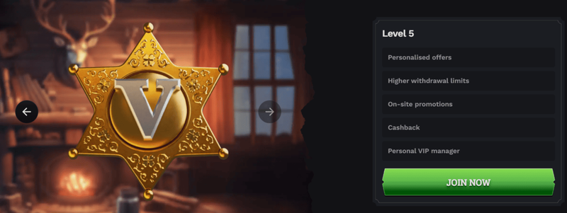 Wildsino VIP-Programm 2026 – Level 5 mit Cashback, persönlichem Manager und höheren Limits
